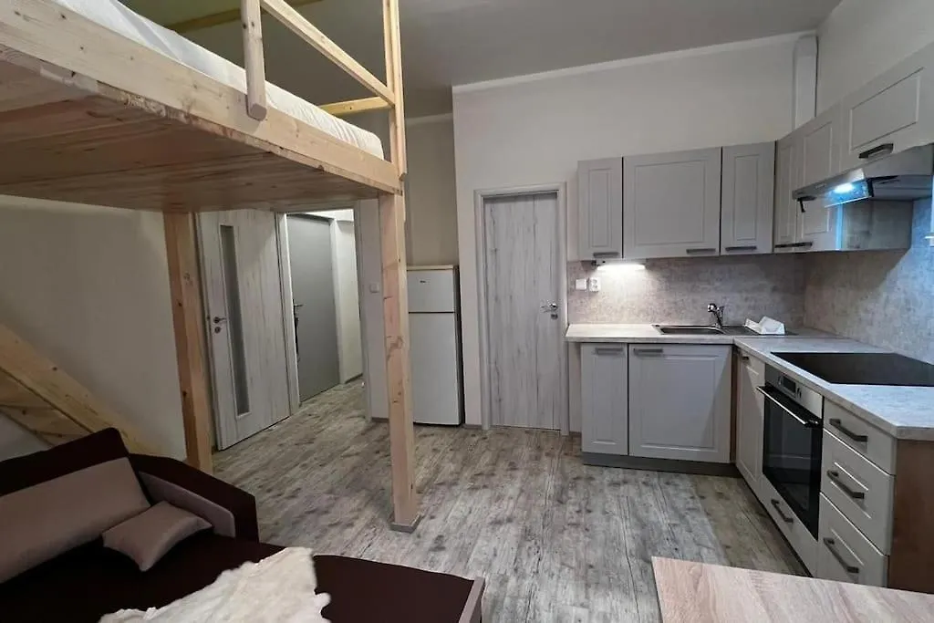 A Comfy Apartment In Praga